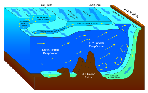 Antarctic Bottom Water